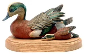American Wigeons on a Base