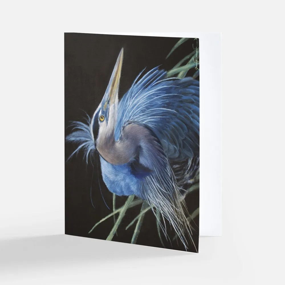 Bird Notecard Pack
