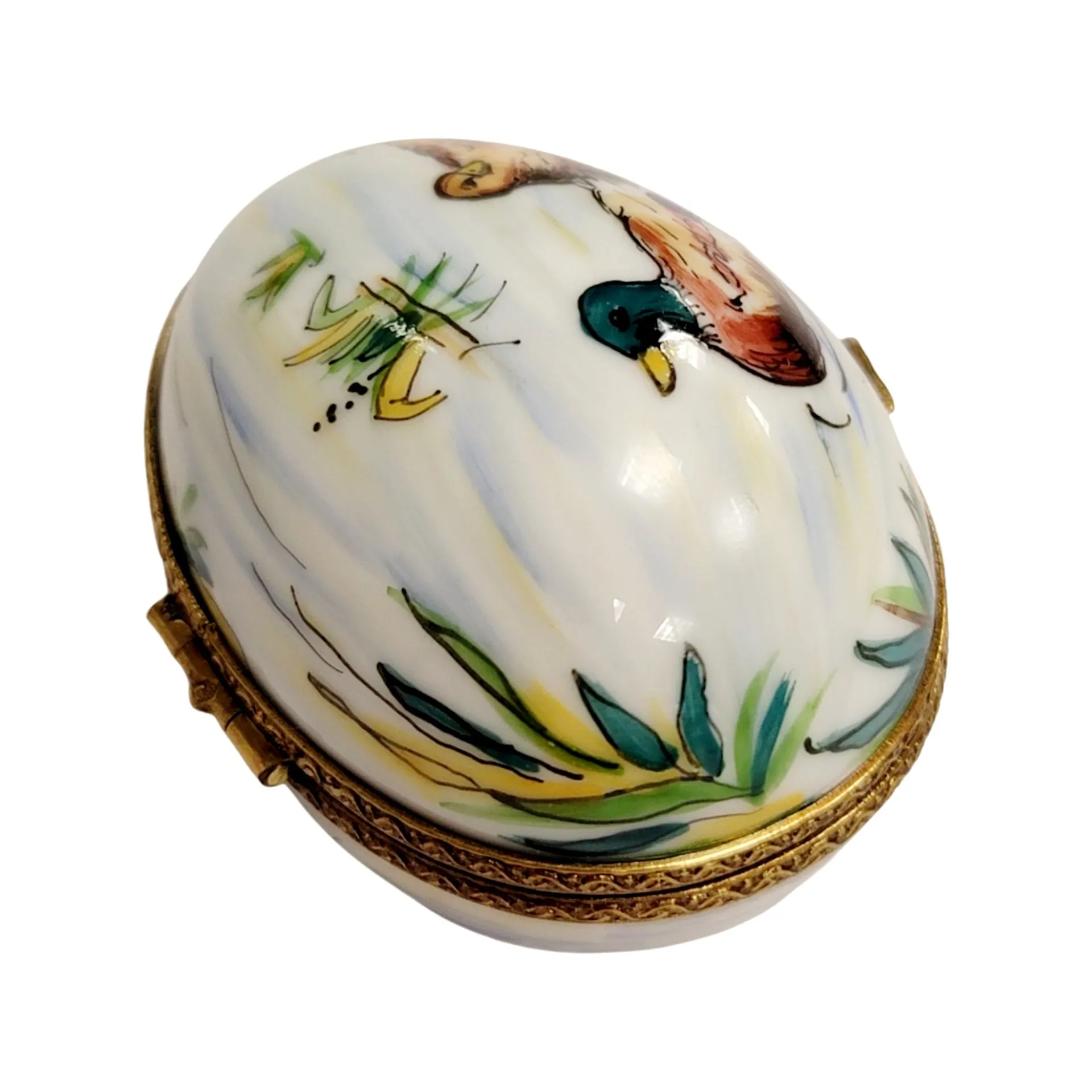Egg Mallard Duck Swimming