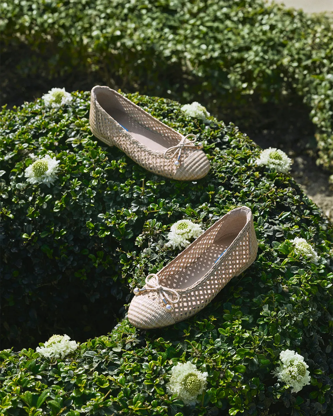 Eloise Ballet Flat