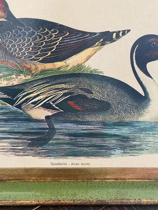 Italian Florentine Duck Tray