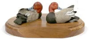 Redhead Ducks on a Base