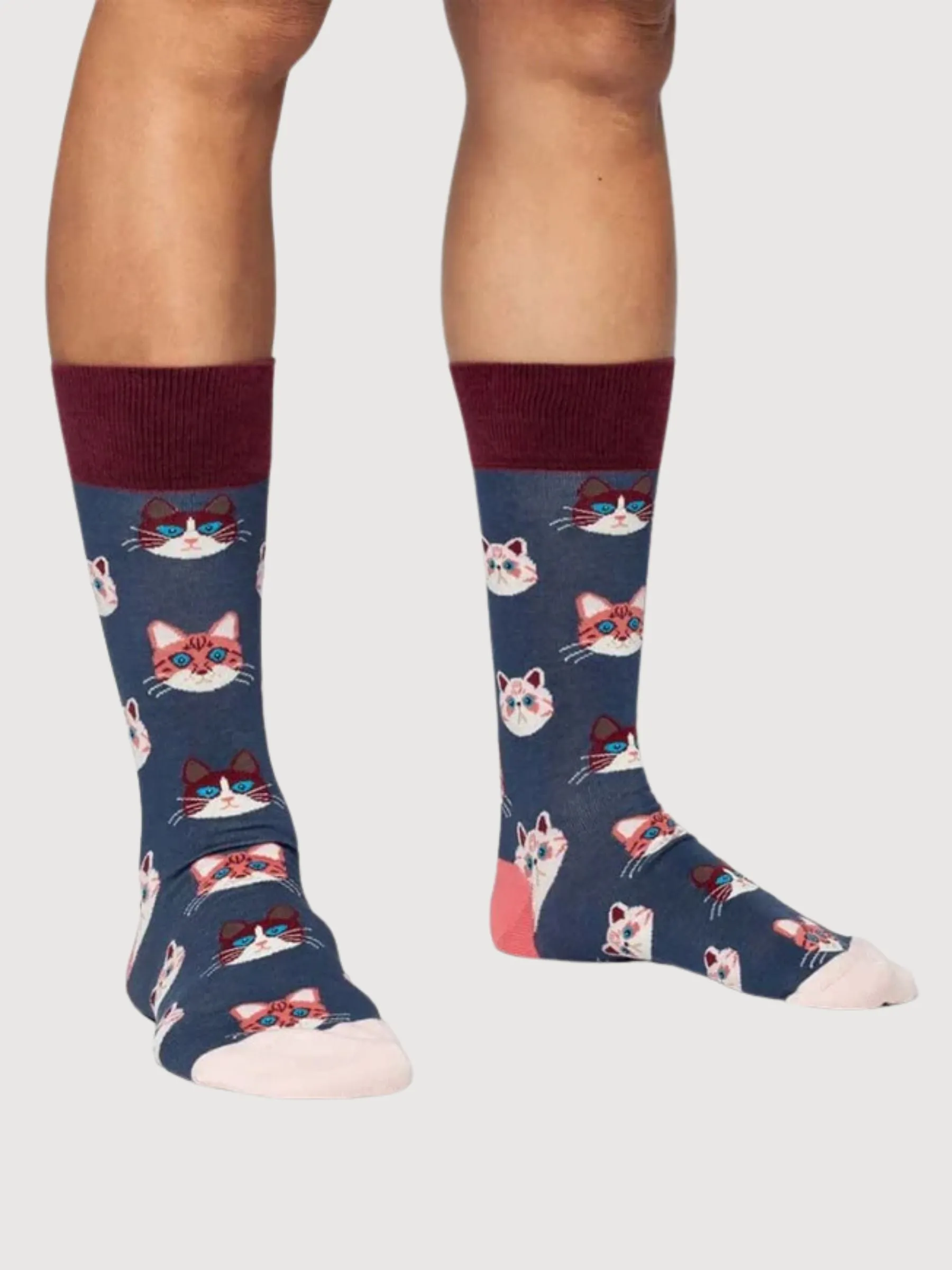 Unisex Socks Sky Kitten | Dillysocks